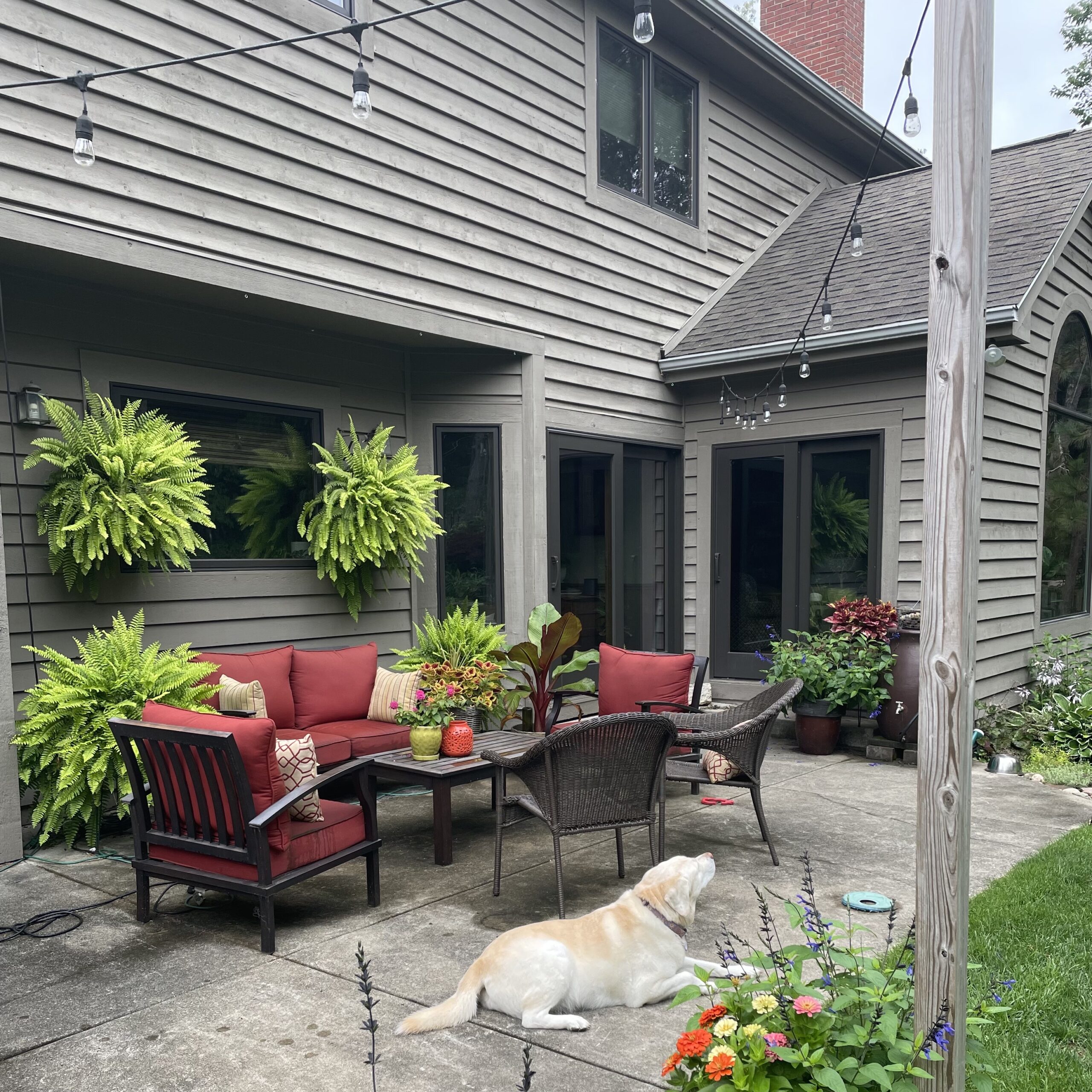 patio setting residential home with container plants