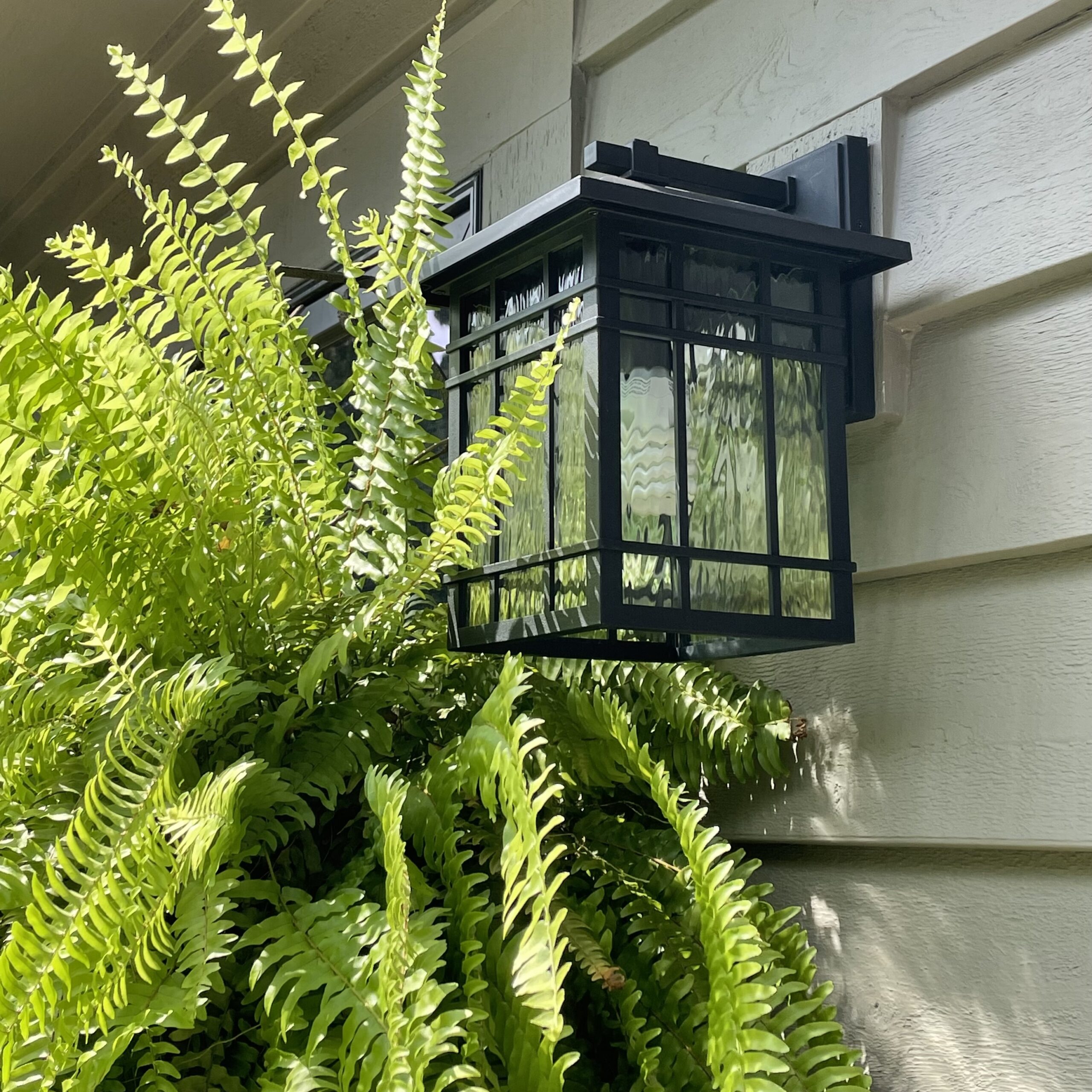 close up of house light fixture with a Boston fern in the background