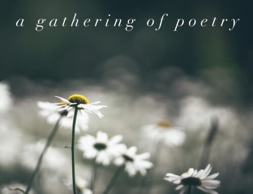 A Gathering of Poetry | September 2022