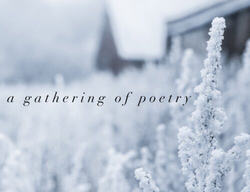 A Gathering of Poetry | December 2022