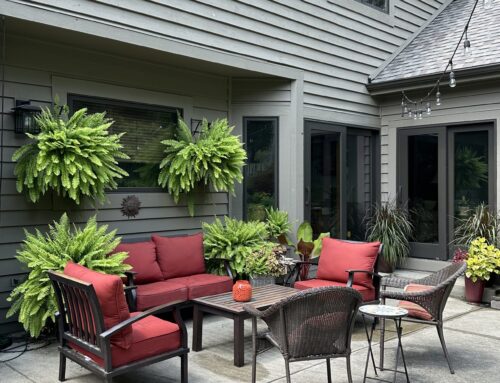 Tales From the Garden | End of Season Garden Assessment
